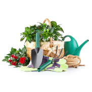 Home & Garden
